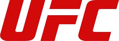 UFC MIDDLEWEIGHT